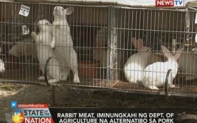 SONA: Bureau of Animal Industry: ligtas kainin ang rabbit meat, may int’l standards sa paghahanda nito